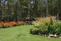 Garden of the Hotel VILLA PAJON - Constanza - Dominican Republic